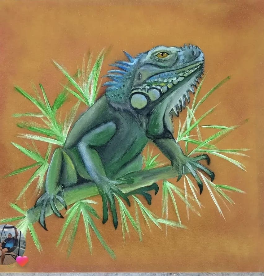Iguana